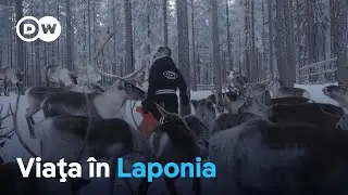 Viaţa &icirc;n Laponia
