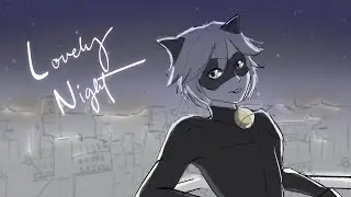 Lovely Night // Miraculous Ladybug Animatic
