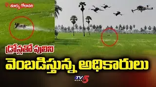 Tiger Rescue Updates: High Technology Being Used To Track Tiger Movement | East Godavari || TV5