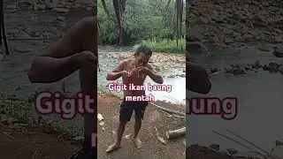 Ikan baung besar #hunterfish #fishing