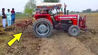 MF 240 Tractor Working With Cultivator Tractor Videos 2019