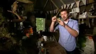 jimmy's forest (spring) part3