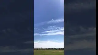 Dinosaur kite flying