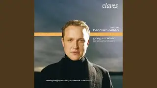 Songs to Poems by A. O. Vinje, Op. 33 : IV. Eit Syn