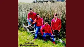 Sumak Kuitza