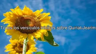 Qu&eacute; dice la Biblia acerca de Quiriat-Jearim - Todos los vers&iacute;culos b&iacute;blicos sobre ...