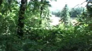 5 Acres Beautiful Wooded View Property For Sale - Newberg,