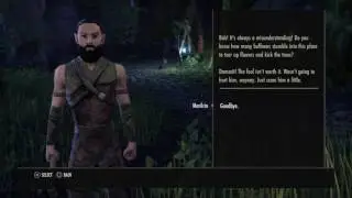Elder Scrolls Online - Peacemaker Achievement