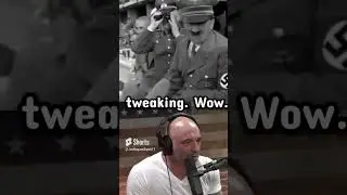 Joe Rogan Watches Hitler on Drugs 😈 | Brian Moses