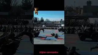 Afghan commandos / badri 313 yarmouk60 / GDI force / taliban / #youtubeshorts #shorts #viralshort