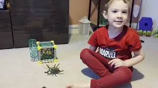 Alex toy review #1 - Schleich Jungle Spider