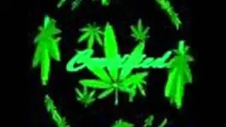 Certified Guerrilla Shit