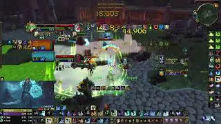 MD vs HD Kasu