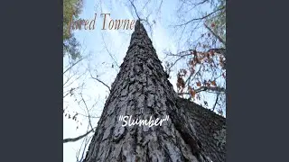 Slumber