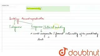 What is external budding? | 12 | Reproduction in Organisms | BIOLOGY | VMC MODULES ENGLISH | Dou...