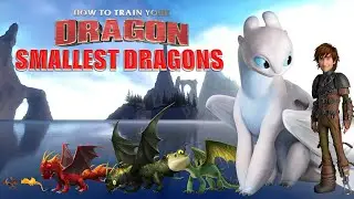 10 Smallest Dragons From How To Train Your Dragon