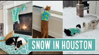 Snow in Texas! GB's first snow ❄️❄️❄️