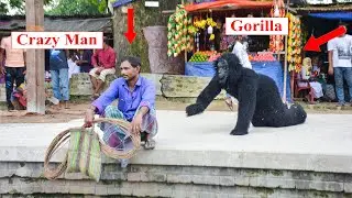 Fake Gorilla Attack Prank | The Prank Box