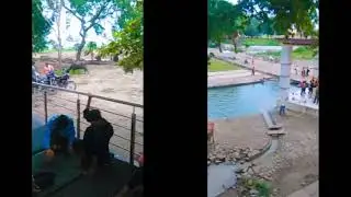 mahakal ki kawd   stetar . 
