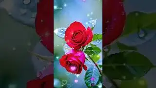 12 July 2025