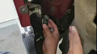 5202 LED Fog Light Bulbs Plug and Play