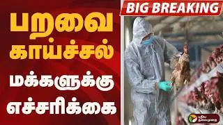 #BIGBREAKING: பறவை காய்ச்சல்.. மக்களுக்கு எச்சரிக்கை | Bird flu