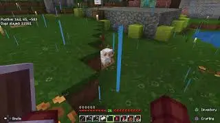 Better Default texture pack + Actions & Stuff resource pack