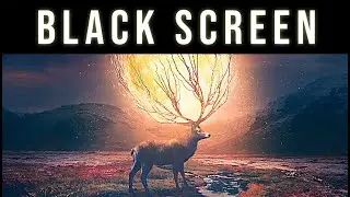 Infinite Astral Projection Music l Enter the Astral Dimensions l Out of Body Black Screen Music