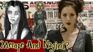 Were Voldemort's Mother And Nagini Friends In The Circus?