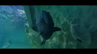 Sea Life Blackpool Tour 18/03/23