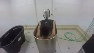 Sports Therapy with Whirlpool Area