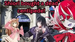 Shiori buys a centipede and weirds out Ollie【Shiori Novella】