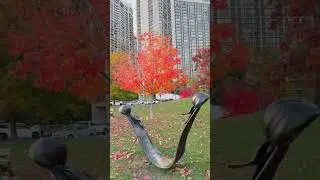 🍁🍁🍁 ..#toronto #harbourfront #canadianblogger #fallincanada #growandglow #lifestyleblogger 🙏🏼&hearts;️