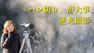 「ハレ切り」撮影って何？雑草の風景も作品化✨CP＋2026最新情報も！