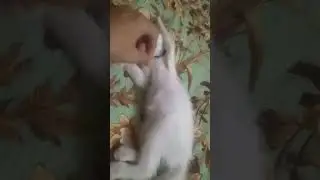 little Thomas