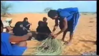 موريتانيا البداوة