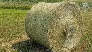 2nd cut oat/alfalfa hay