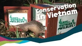 Save Vietnam's Wildlife - Conservation Partners Around the World