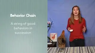 Clicker Training