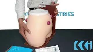 Kay Kay Industries || KKI 38 Ostomy Nursing Model