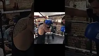 Lomachenko's Boxing IQ
