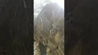 This cave is located at the beginning of the tracking to Shree Neelkanth Mahadev Temple. #india