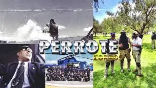 MR TYSON - EL PERROTE