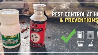 PESTCONTROL FOR BED BUGS COCKROACH...