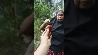 Panin jengkol@burhanibnumurat3934 