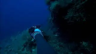 Spearfishing action during summer vacation 2018