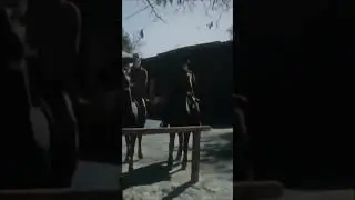 Frank's Plan Goes Wrong, 