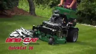 BOB-CAT QuickCat 36