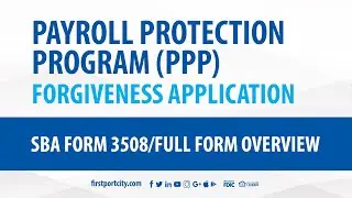 8  PPP App Process - Application Form 3508 Overview