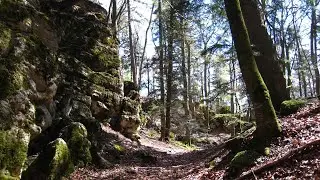 Geheimnisvolles Felsenmeer! Eine kleine Wanderung zu Burgruine Schalksburg.